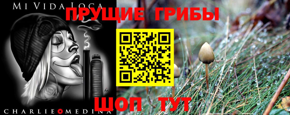 Галлюциногенные грибы GOLDEN TEACHER Сатка