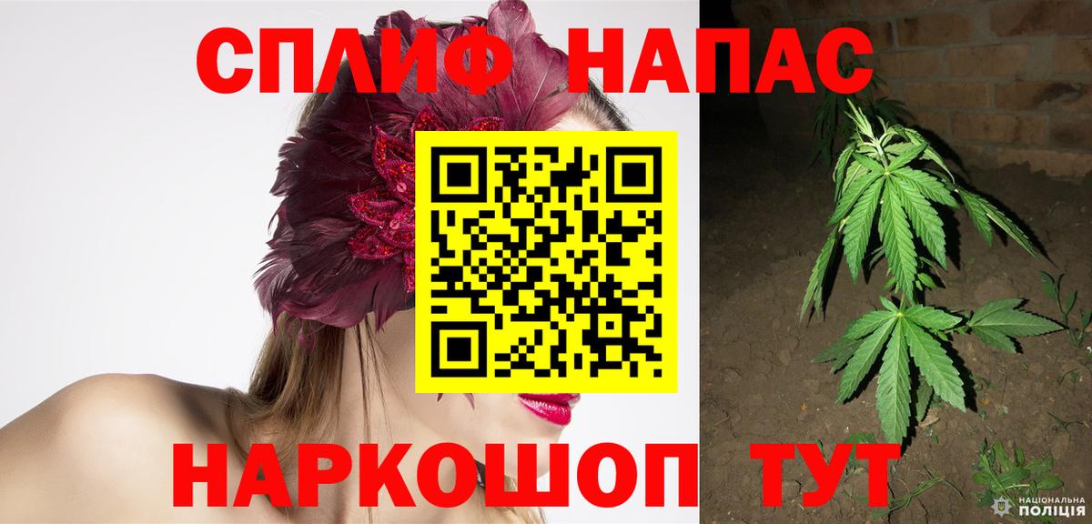 Бошки марихуана AK-47 Сатка